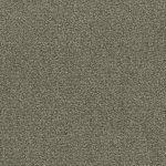 DAS TEPPICHWERK Fascination #1 Lyrica 8L32