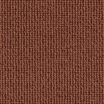 DAS TEPPICHWERK Fascination #1 Rustica 1Q00