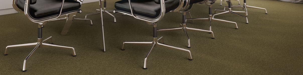 Tiara Stella - 32 Olive-header