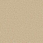 DAS TEPPICHWERK Passion and Rugs - Alexis 8L90