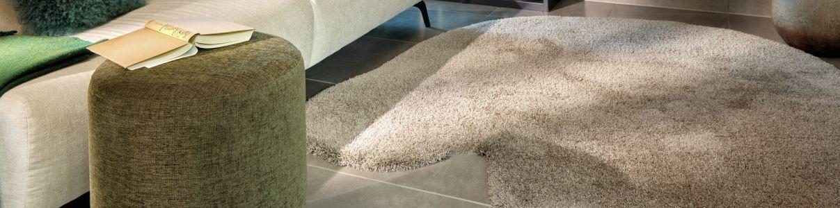 Vorwerk Passion and Rugs - Magic 7H81 Header